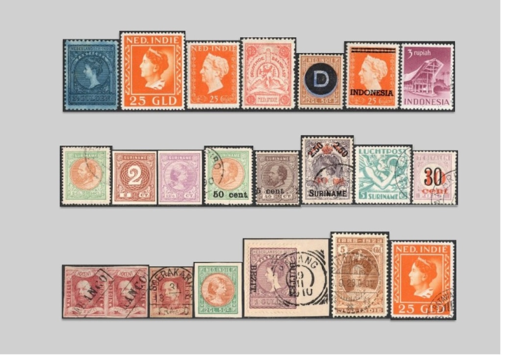 427nws (13)