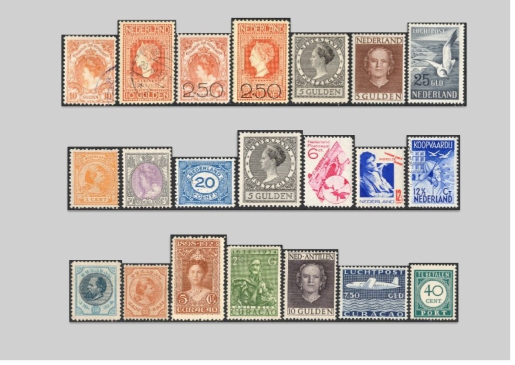 427nws (14)